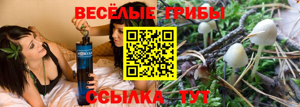 Астрахань  Псилоцибиновые грибы Magic Shrooms  Вход с VPN 
